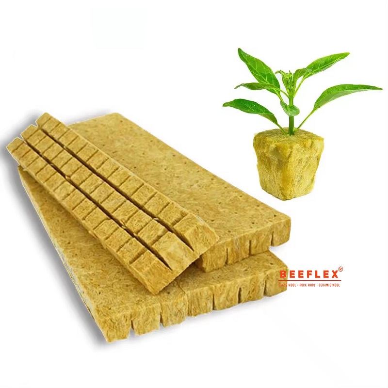Ứng Dụng tuyệt vời của Bông khoáng Beeflex trong Trồng Rau Sạch, Rau Thủy Canh